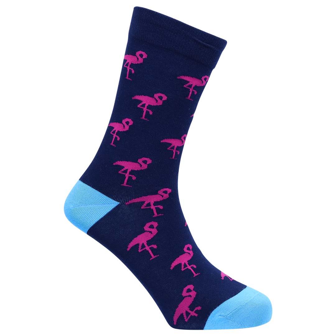 Navy Flamingos 8-11