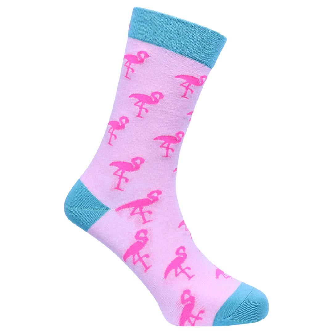 Flamingos 8-11
